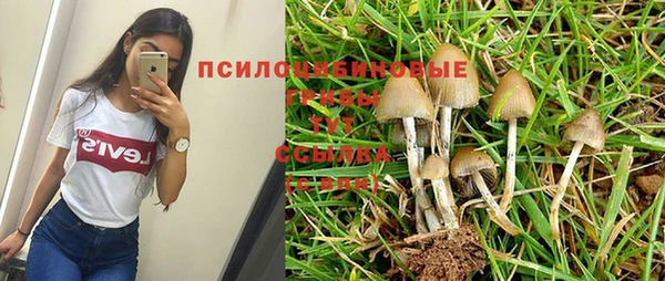 марки lsd Алзамай